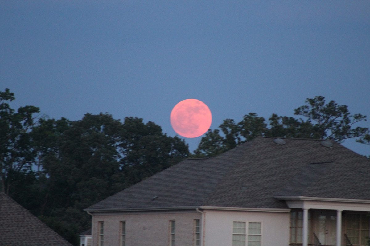 Strawberry Moon captured by Sandra, Huntsville, Alabama, USA, 10 June 2025