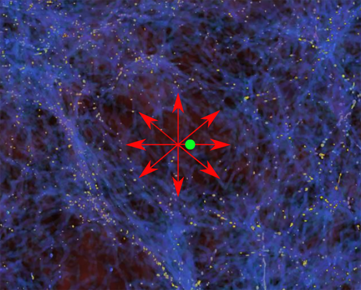 We (the green dot) may be adrift in a giant cosmic void, with matter flowing away into denser regions beyond. Credit: Moritz Haslbauer and Zarija Lukic