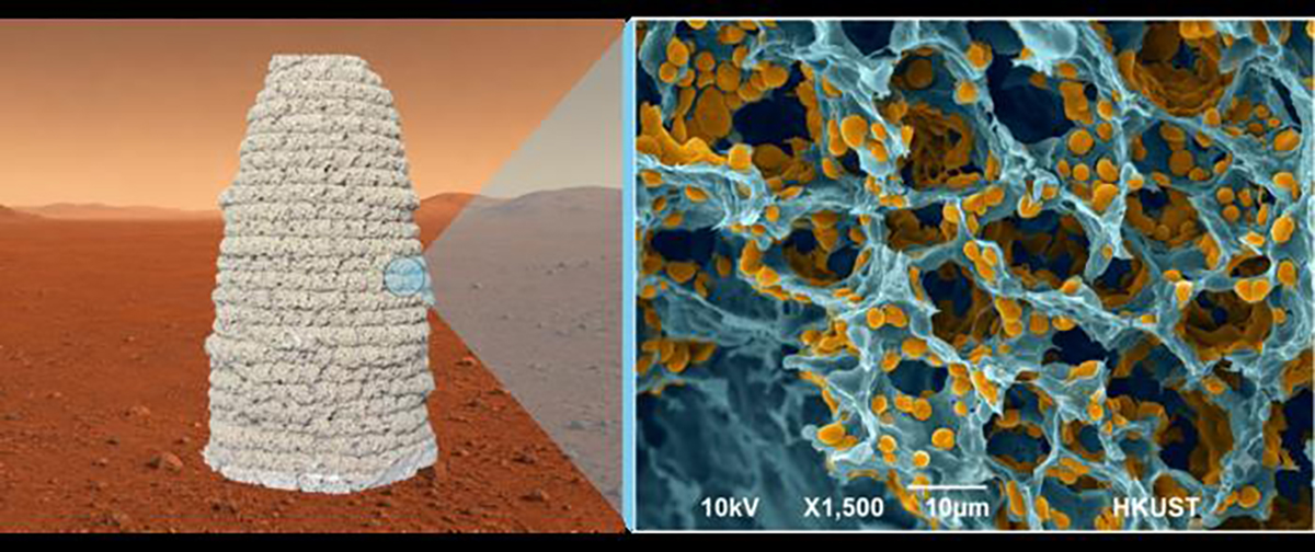 Scientists say living building material could be 3D-printed under simulated Martian conditions at –30°C. Right image shows a microscopic view revealing the material’s porous structure. Credit: Ning Liu