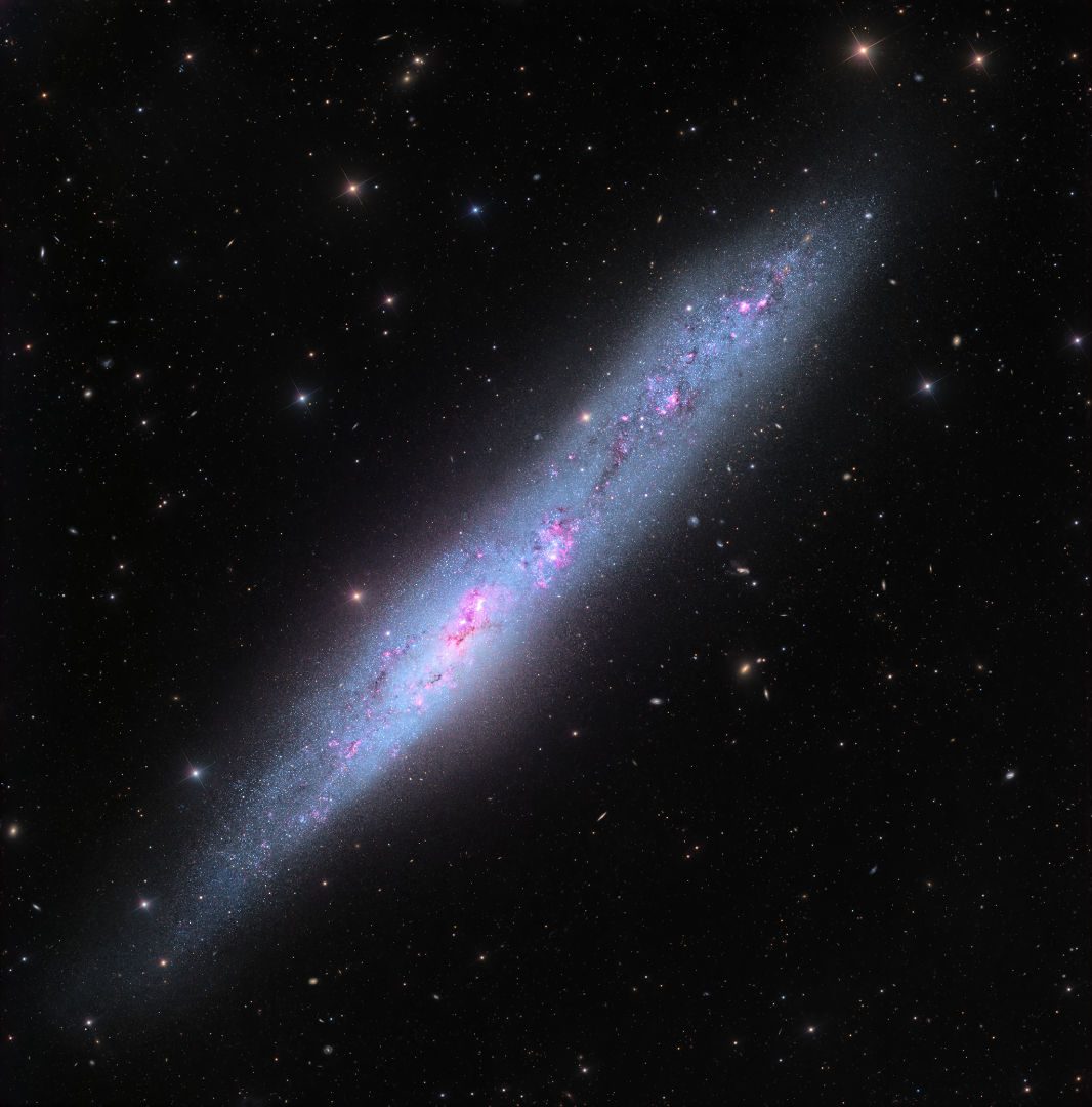 The String of Pearls Galaxy, NGC 55 Mark Hanson and Warren Keller, Stan Watson Observatory South, El Sauce, Chile, October 2021-May 2026 Equipment: SBIG STX-16803 camera, PlaneWave CDK24 astrograph, PlaneWave L-600 mount