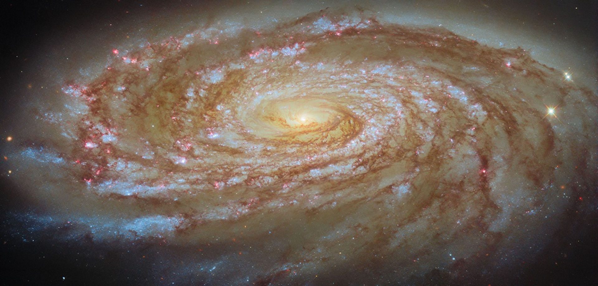 Spiral galaxy Messier 88 Hubble Space Telescope, 3 June 2026 Credit: ESA/Hubble & NASA, D. Thilker