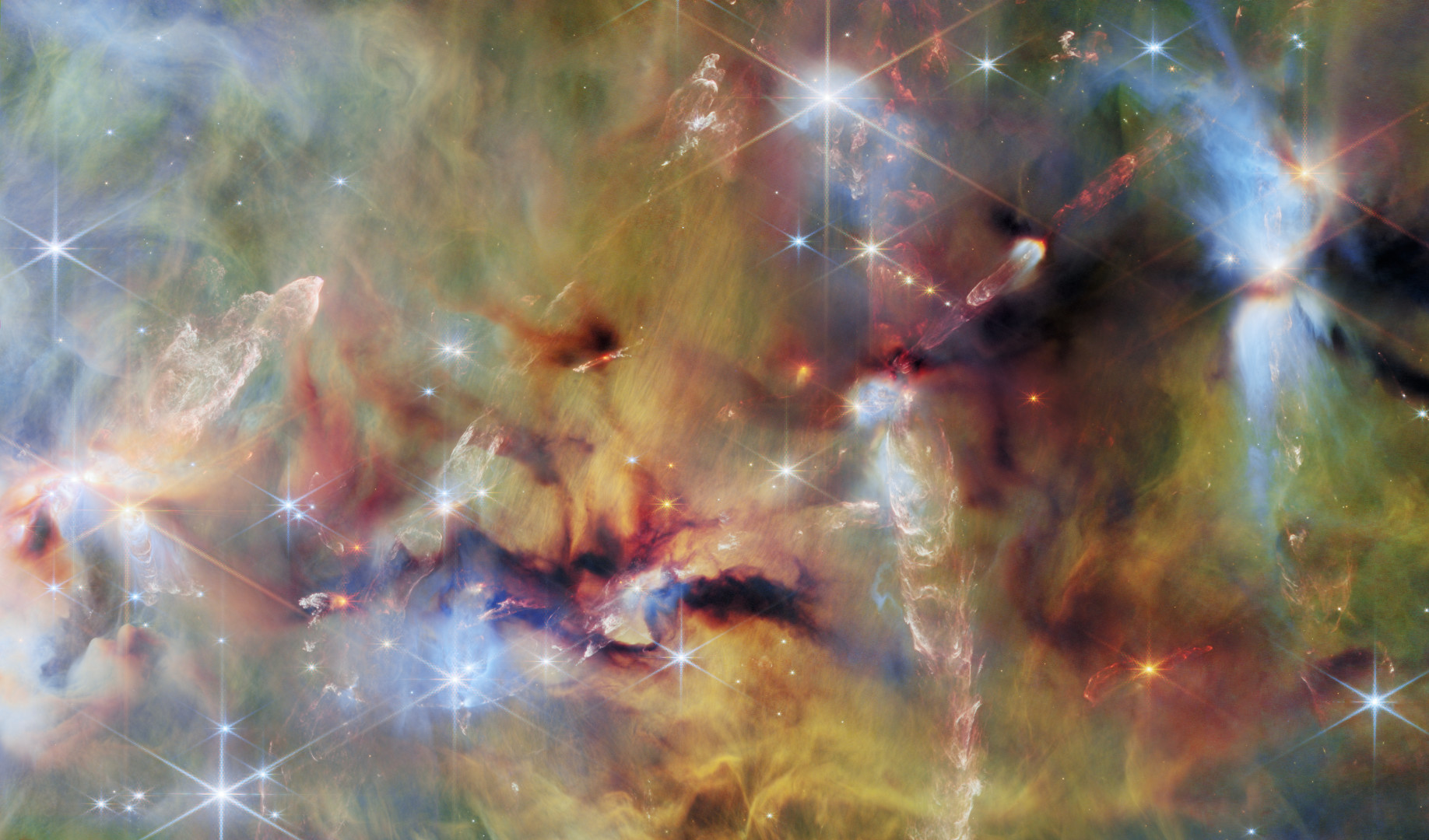 Molecular cloud OMC-2 James Webb Space Telescope, 5 June 2026 Credit: ESA/Webb, NASA & CSA, T. Megeath, M. Zamani (ESA/Webb). Acknowledgement: M. H. Özsaraç