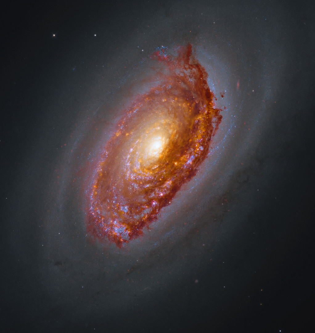 The Black Eye Galaxy, Messier 64 Hubble Space Telescope/James Webb Space Telescope, 12 June 2026 Credit: NASA, CSA, ESA, F. Belfiore (European Southern Observatory – Germany), J. Lee (Space Telescope Science Institute), A. Leroy (The Ohio State University), and D. Thilker (The Johns Hopkins University); Processing: Gladys Kober (NASA/Catholic University of America)