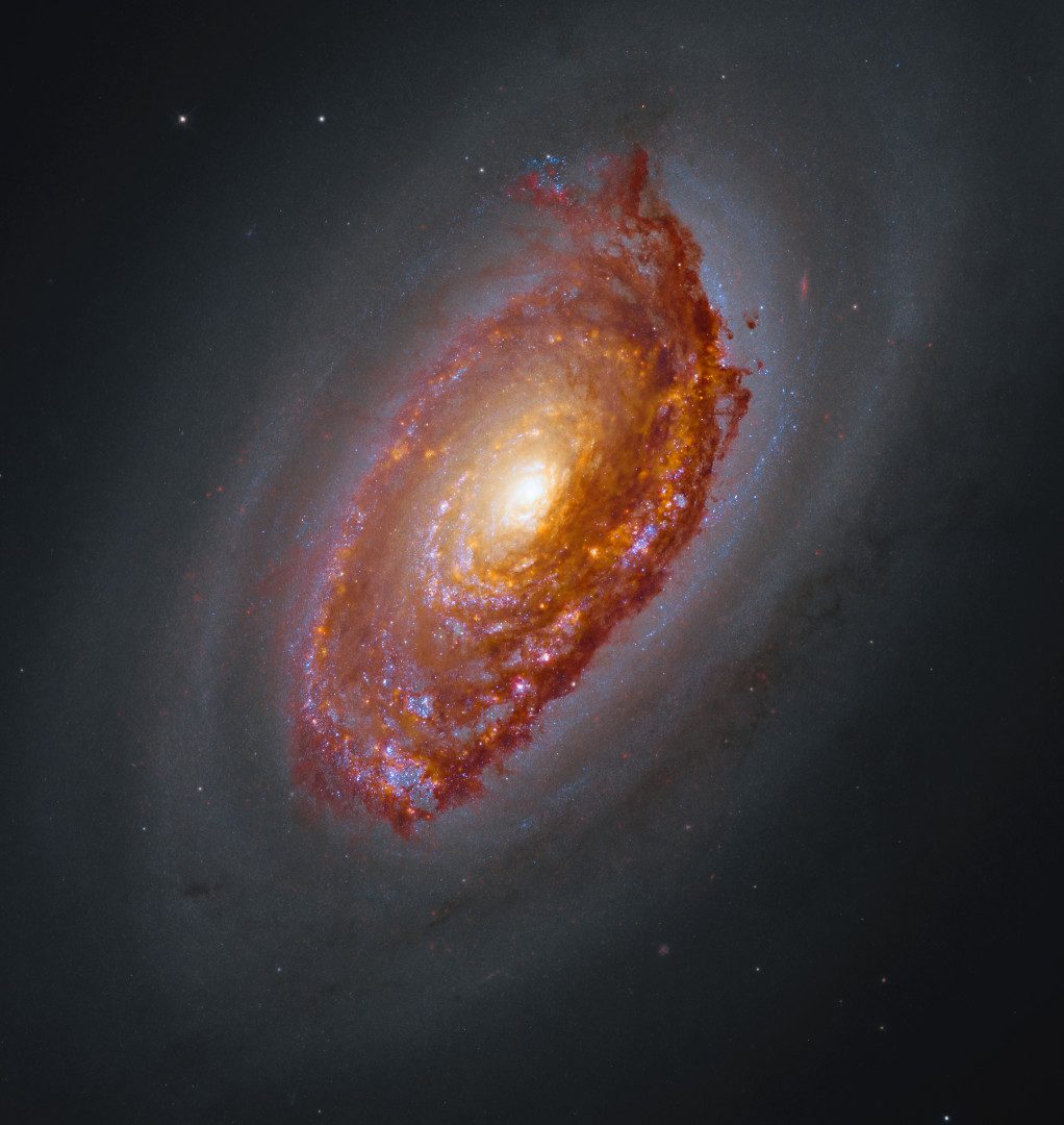 The Black Eye Galaxy, Messier 64 Hubble Space Telescope/James Webb Space Telescope, 12 June 2026 Credit: NASA, CSA, ESA, F. Belfiore (European Southern Observatory – Germany), J. Lee (Space Telescope Science Institute), A. Leroy (The Ohio State University), and D. Thilker (The Johns Hopkins University); Processing: Gladys Kober (NASA/Catholic University of America)