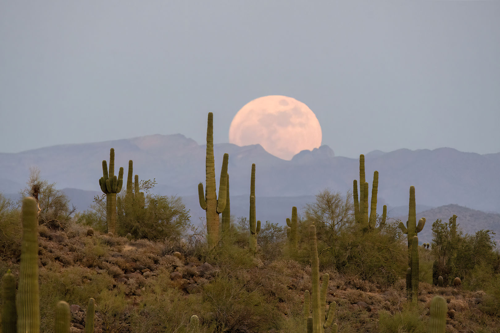 Blue Moon over Arizona Joanne West, Merkle Hills, Arizona, USA, 30 May 2026 Equipment: Nikon D500 camera, Tamron 150-600mm lens, Gitzo Carbon Fibre tripod