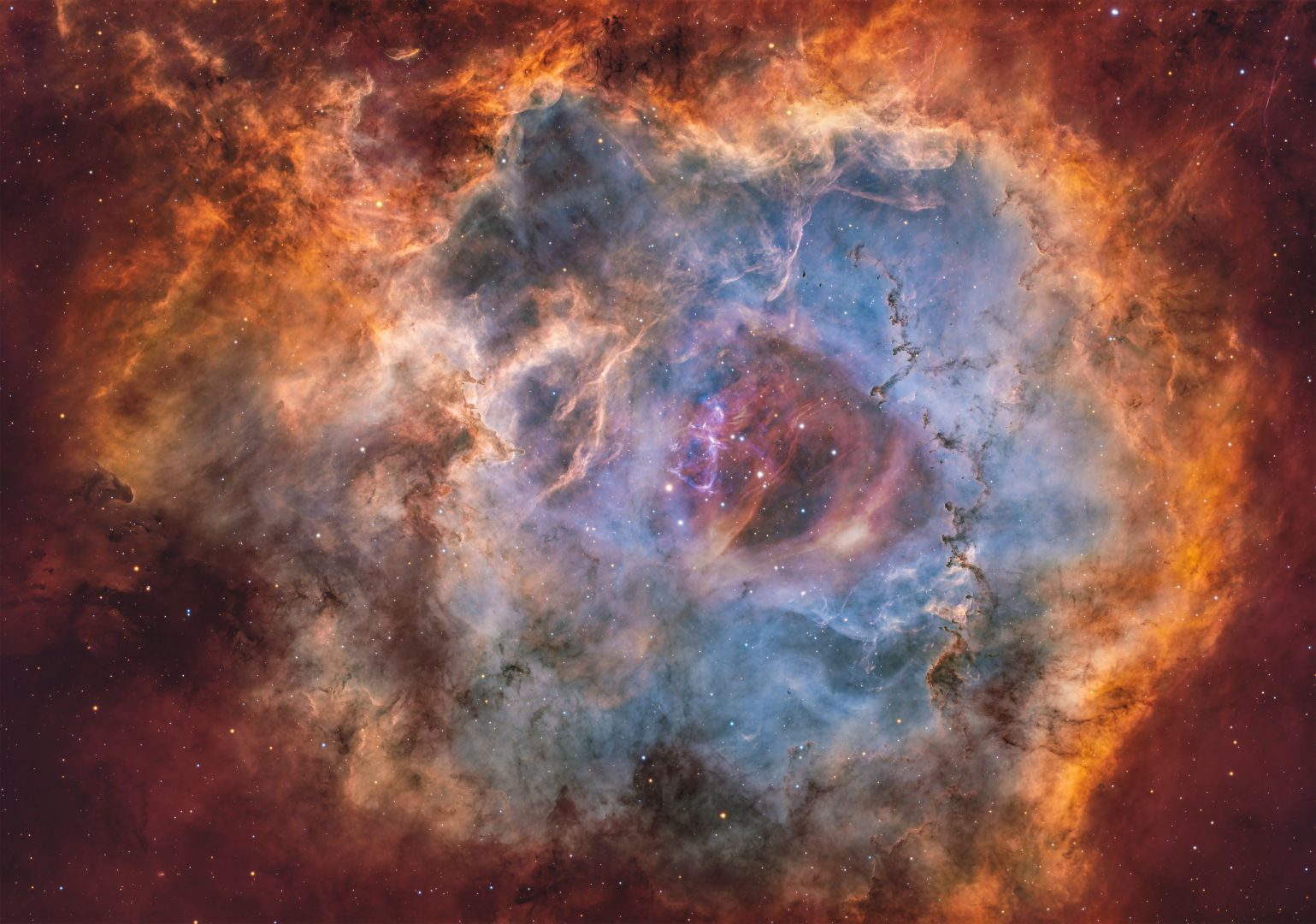 The Rosette Nebula Jeffrey Horne, Nashville, Tennessee, USA, 1 January-12 April 2026 Equipment: ZWO ASI2600MM Pro camera, Askar 120 refractor, ZWO AM5 mount