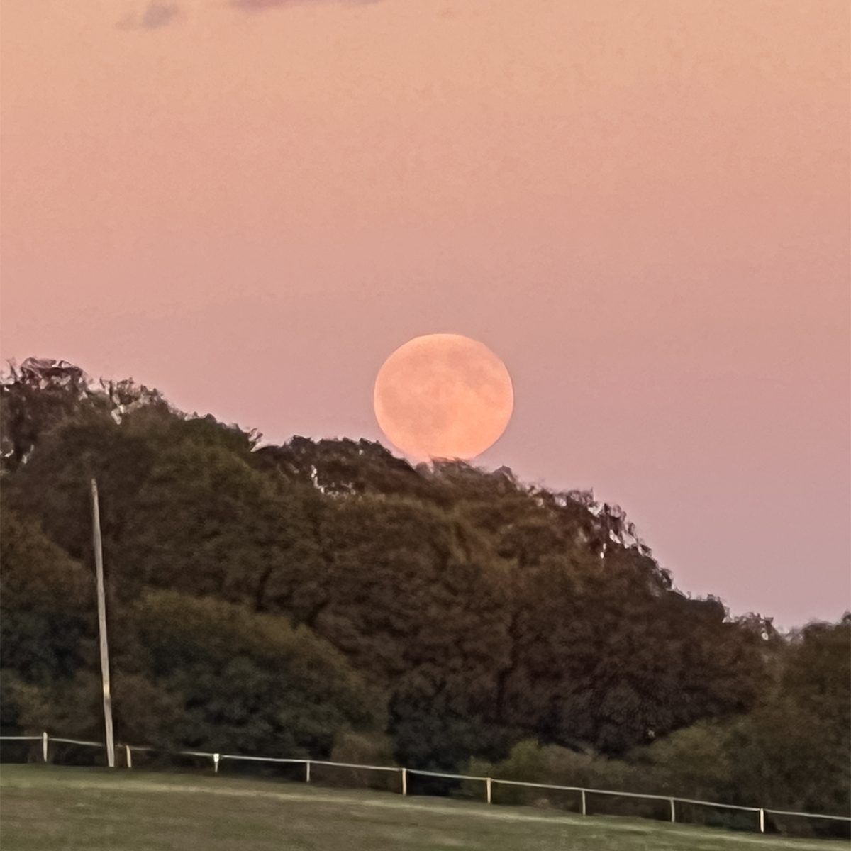 A full Moon close to the horizon is less white, less bright and easier to captured with a smartphone. This view of the Harvest Moon was captured by Joseph Storer on 26 September 2026 from Nottinghamshire, UK using an iPhone 13 Pro smartphone