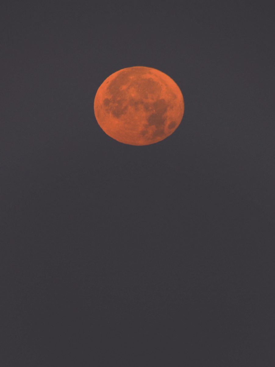 Thanks to Giovanni Passalacqua for sending us this image of the full Moon setting, captured from Ragusa, Sicily, Italy, 30 June 2026, 05:36 local time. Equipment: Canon EOS R DSLR camera, Sigma 600m lens, Manfrotto tripod. Exposure: ISO 100, f/10, 0.3s. Software: Photoshop