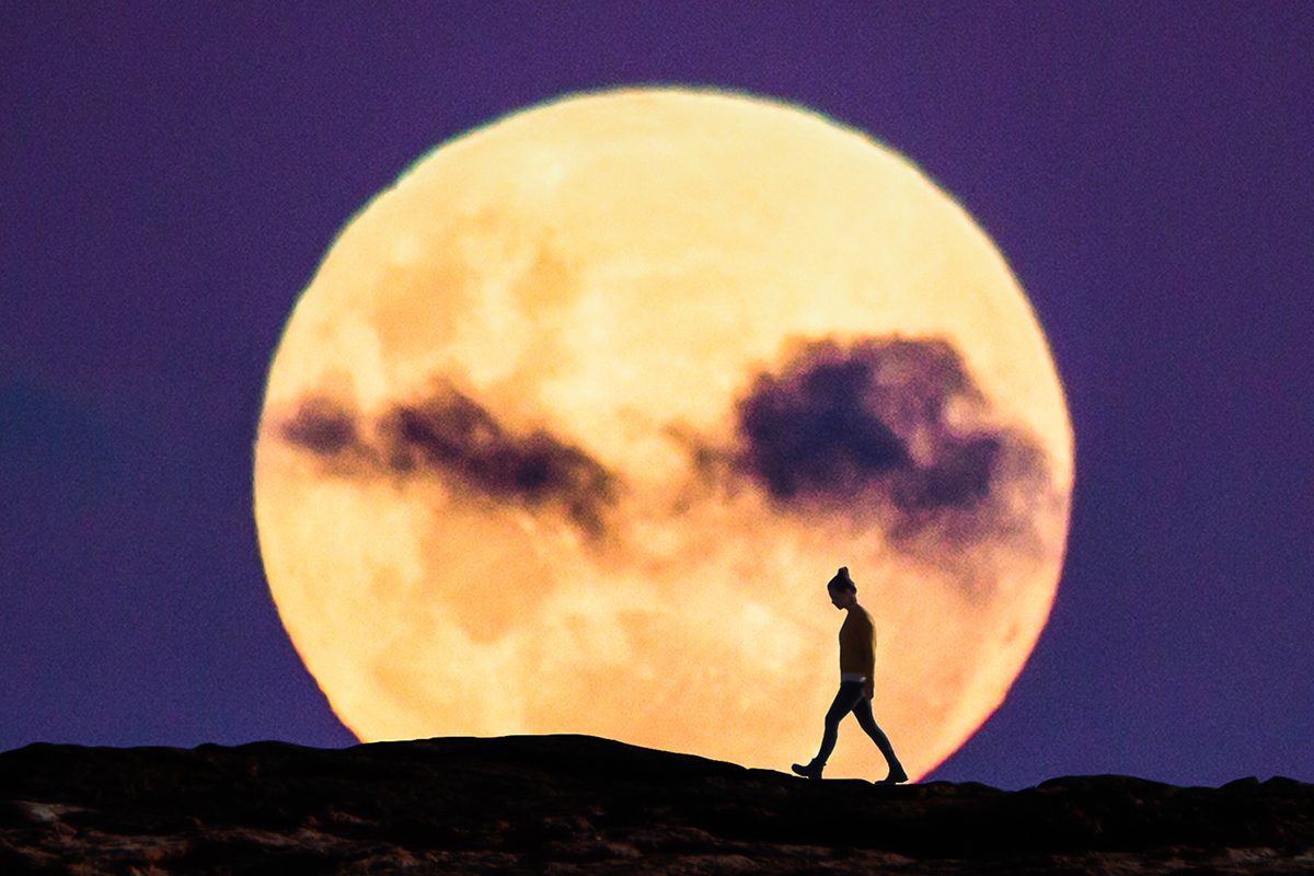 November's supermoon is the biggest, brightest full Moon of the year. Photo by Joel Sharpe / Getty Images
