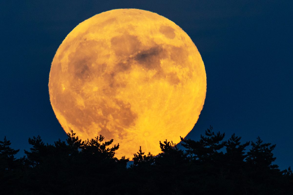 Full Moon rising. Credit: PetesPhotography / Getty Images