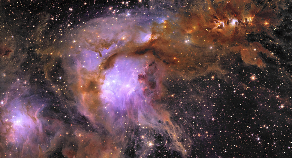 Euclid spacecraft image of Messier 78, a star-forming region 1,300 lightyears away in the constellation Orion. Credit: ESA/Euclid/Euclid Consortium/NASA, image processing by J.-C. Cuillandre (CEA Paris-Saclay), G. Anselmi; CC BY-SA 3.0 IGO or ESA Standard Licence.