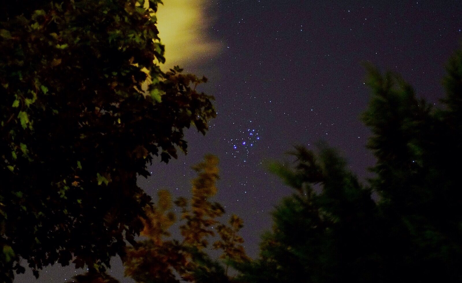 Pleiades Seven Sisters in Middlesbrough by Damo Williams, Middlesbrough, UK.