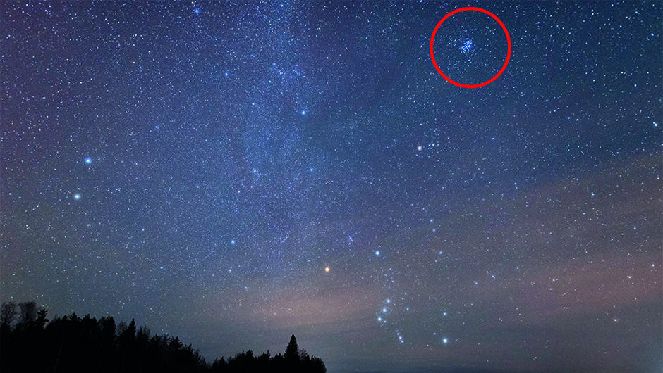 The Pleiades, M54 can be seen in autumn and winter, even with the naked eye. Credit: iStock