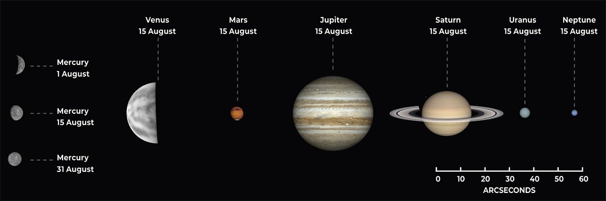 The phase and relative sizes of the planets in August 2026. Each planet is shown&nbsp;with south at the top, to show its orientation through a telescope.