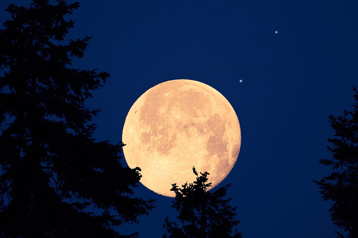 Full Moon and planets. Credit: M Gucci / Getty Images