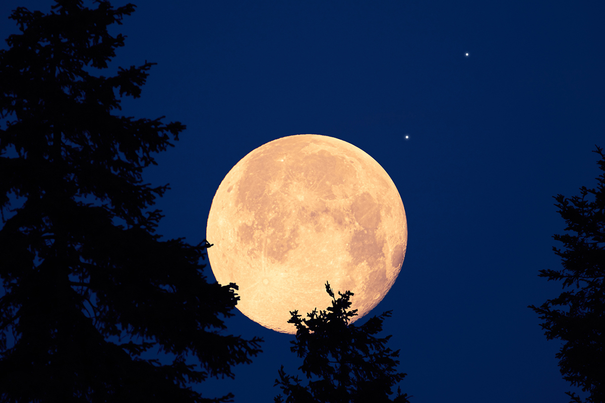 Full Moon and planets. Credit: M Gucci / Getty Images