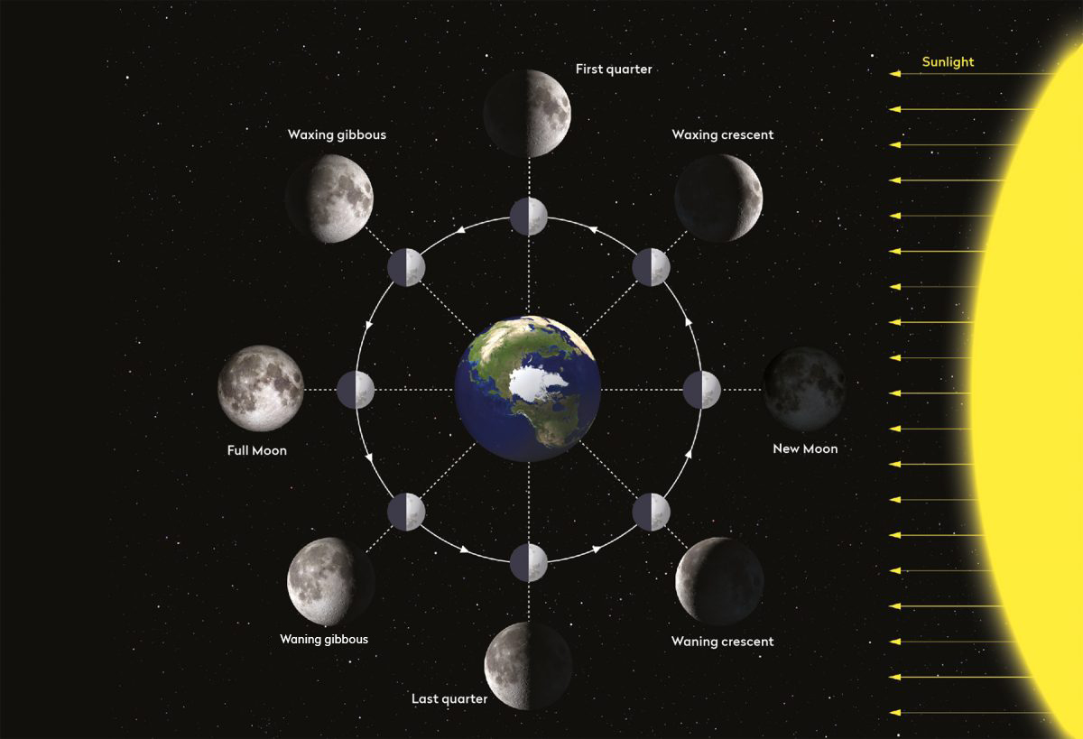 Illustration showing what causes the phases of the Moon. The inner circle shows how different parts of the Moon are illuminated by sunlight as the Moon orbits Earth. The outer circle shows what each stage looks like from Earth. Credit: BBC Sky at Night Magazine