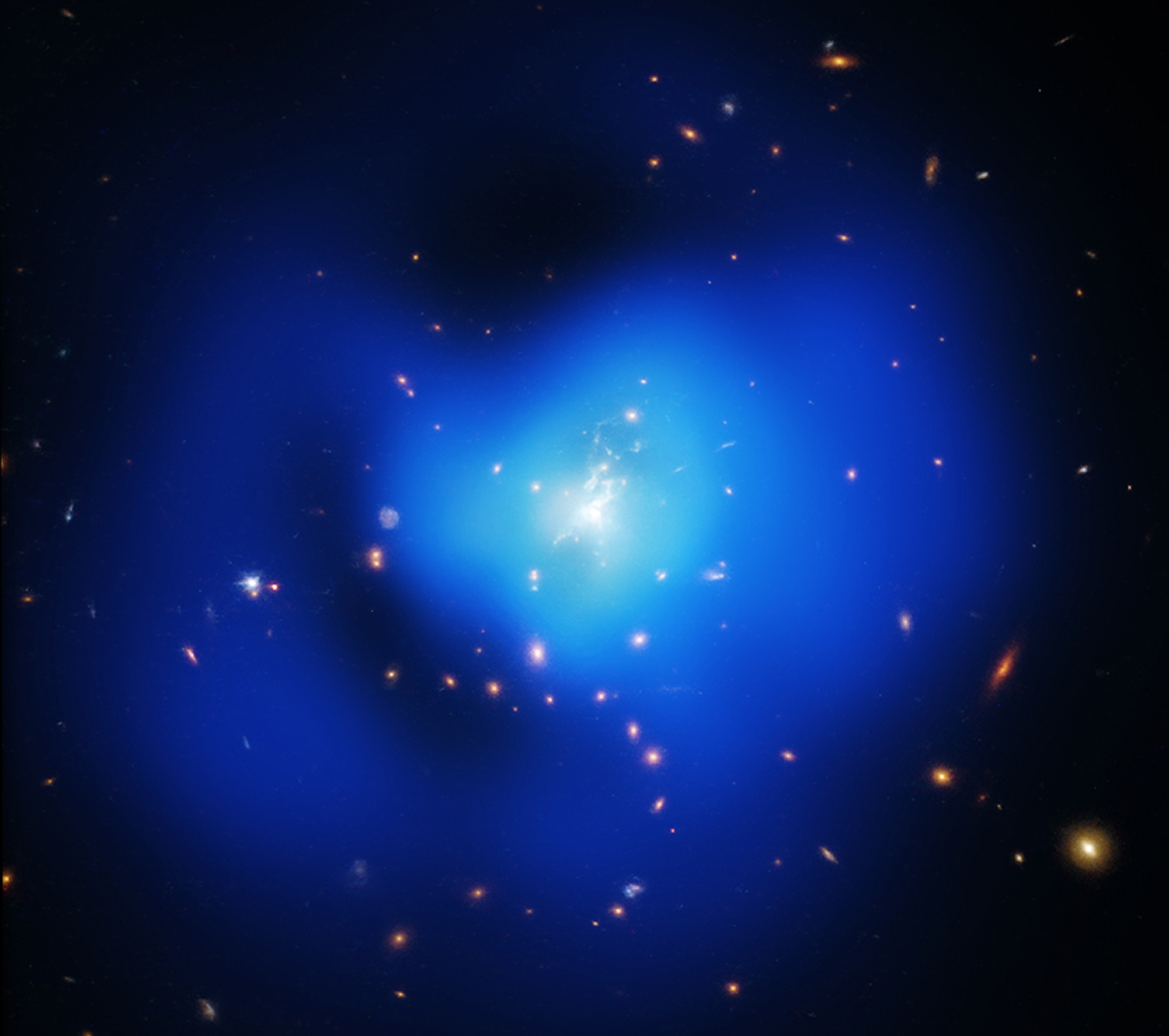 The Phoenix Cluster, home of the Phoenix A* black hole. Credit: X-ray: NASA/CXC/MIT/M.McDonald et al; Optical: NASA/STScI; Radio: TIFR/GMRT