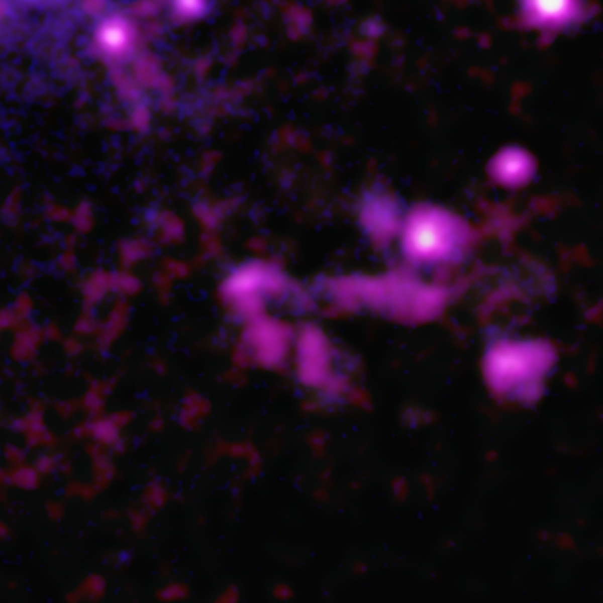 A strange V-shaped structure named C4 caused by a jet from a supermassive black hole at the centre of galaxy Centaurus A smashing into an unknown object. Credit: Main image: NASA/CXC/SAO/D. Bogensberger et al; Image Processing: NASA/CXC/SAO/N. Wolk; Wide field composite: X-ray (Chandra): NASA/CXC/SAO/D. Bogensberger et al; X-ray (IXPE): NASA/MSFC; Optical: ESO; Image Processing: NASA/CXC/SAO/N. Wolk