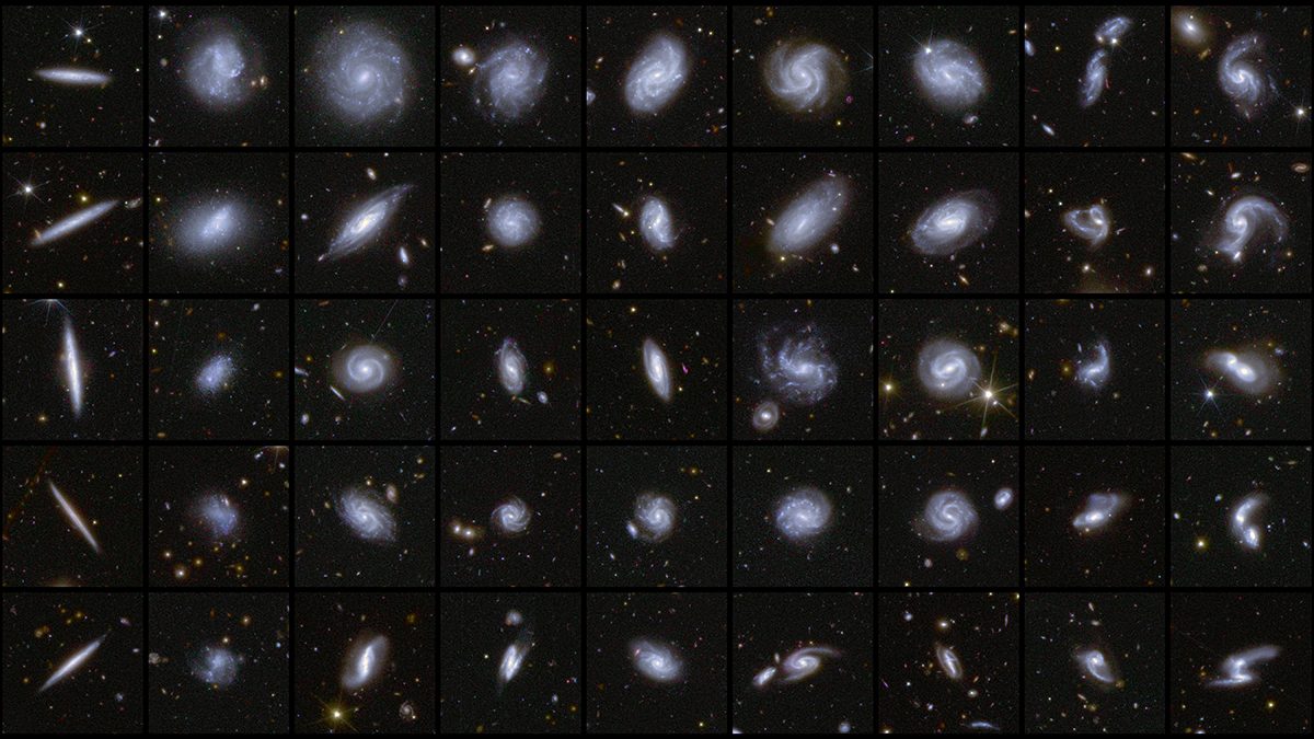 Euclid's view of a range of different galaxies, including edge-on galaxies, face-on spirals and, on the right, pairs of galaxies colliding. Credit: ESA/Euclid/Euclid Consortium/NASA, image processing by M. Walmsley, M. Huertas-Company, J.-C. Cuillandre