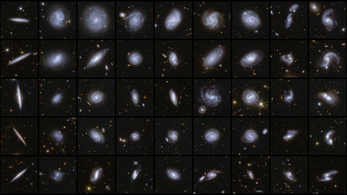 Euclid's view of a range of different galaxies, including edge-on galaxies, face-on spirals and, on the right, pairs of galaxies colliding. Credit: ESA/Euclid/Euclid Consortium/NASA, image processing by M. Walmsley, M. Huertas-Company, J.-C. Cuillandre